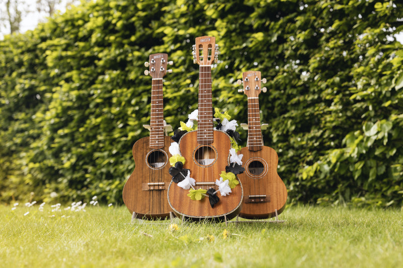 Jak vybrat ukulele