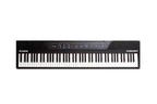Alesis_Concert_1.jpeg