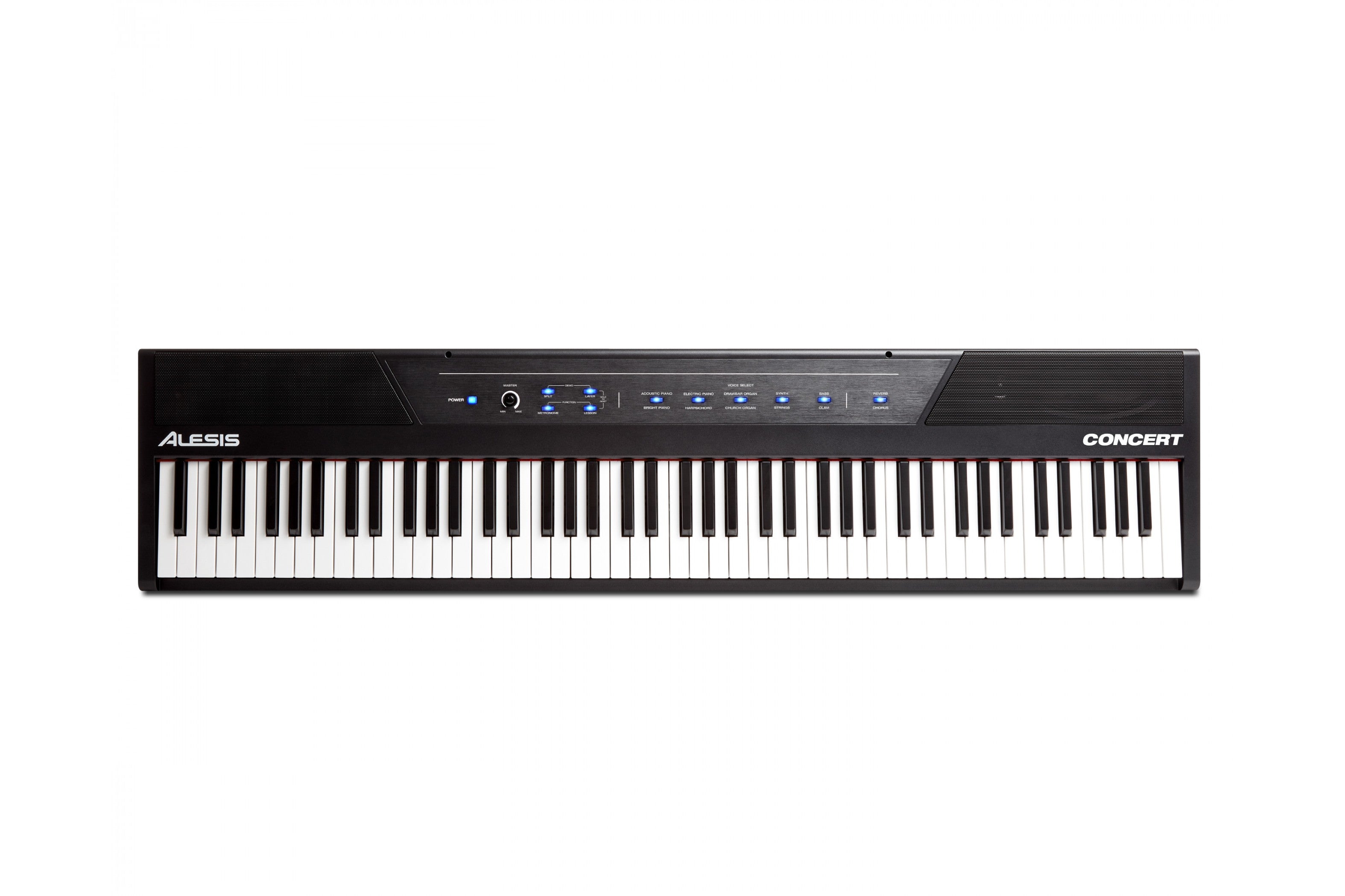 Alesis_Concert_1.jpeg