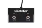 Blackstar_FS_17_Sonnet_Footswitch_1.jpeg