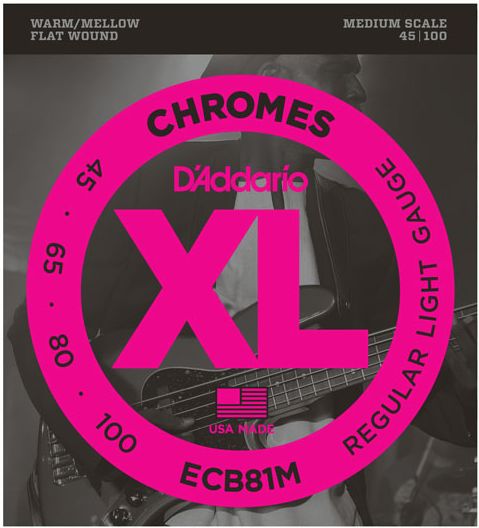 DAddario ECB81M