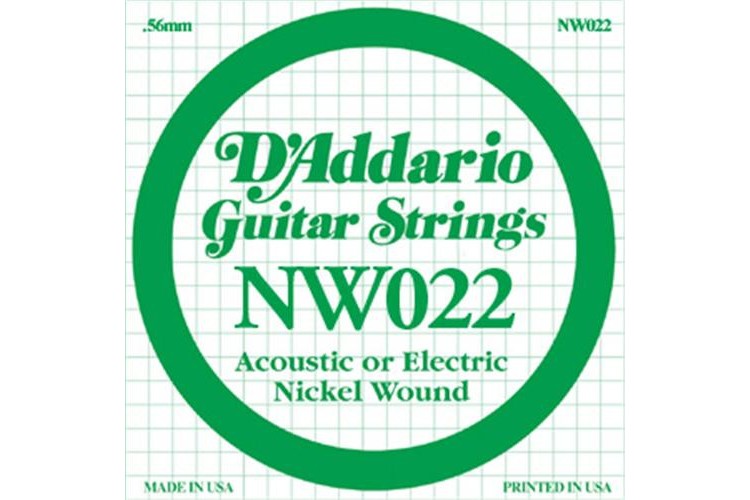DAddario_NW022_1.jpeg