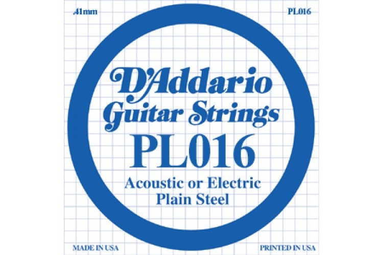 DAddario_PL016_1.jpeg