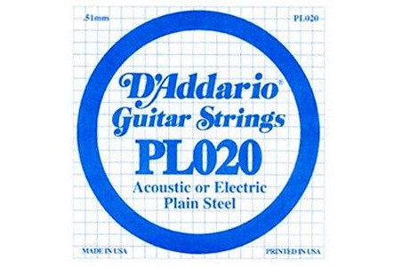 DAddario_PL020_1.jpeg
