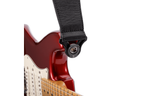 D_Addario_30BAL00_4.png