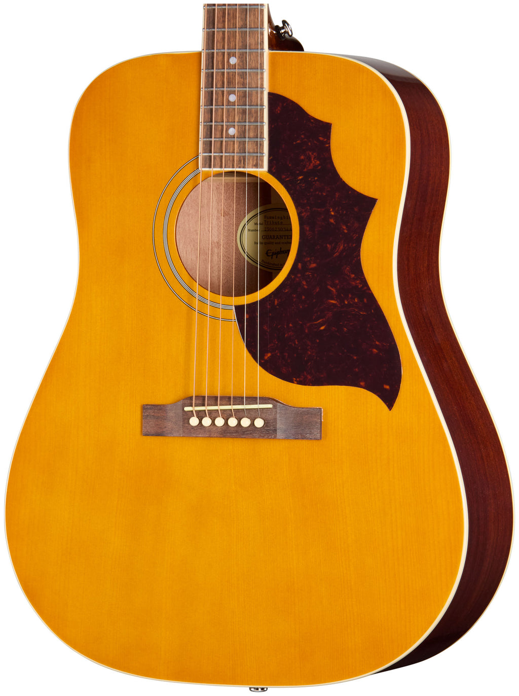 Epiphone Hummingbird Tribute? - Antique Natural