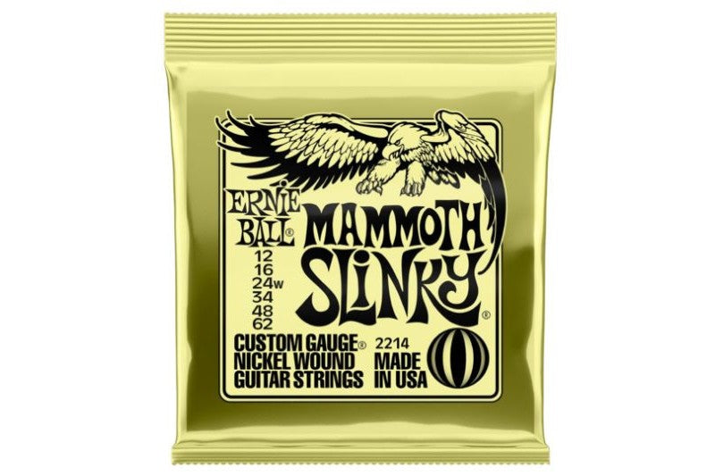 Ernie_Ball_P02214_1.jpeg