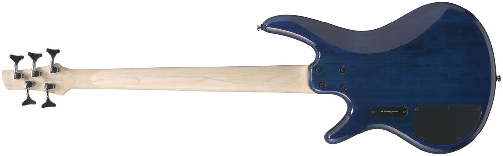 Ibanez GSR205 - Blue Moon Burst