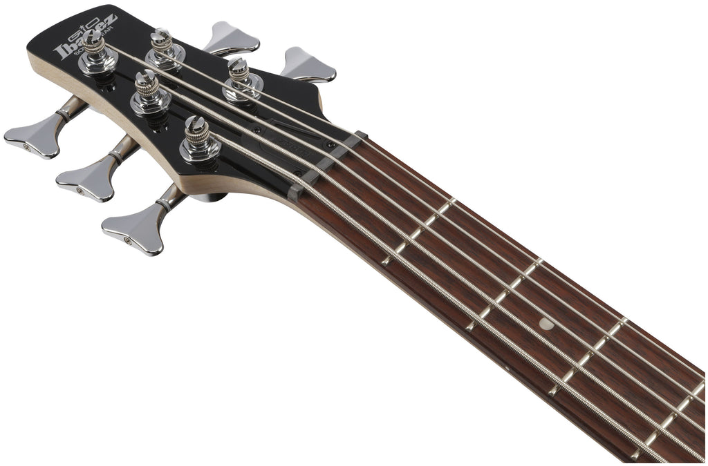 Ibanez GSR205 - Blue Moon Burst