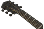 Ibanez_AEG621_BOT_Black_Out_10.jpeg
