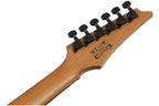 Ibanez_GRGR221FA_TDK_Transparent_Indigo_Black_9.jpeg