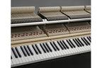 Kawai_GL_10_Ebony_Polish_2.jpeg