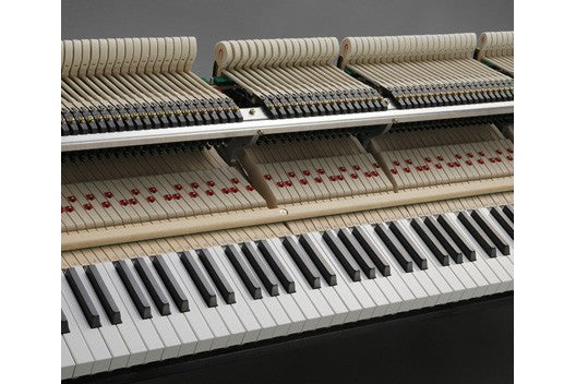 Kawai_GL_10_Ebony_Polish_2.jpeg
