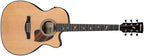 Ibanez PC34CE - Natural High Gloss