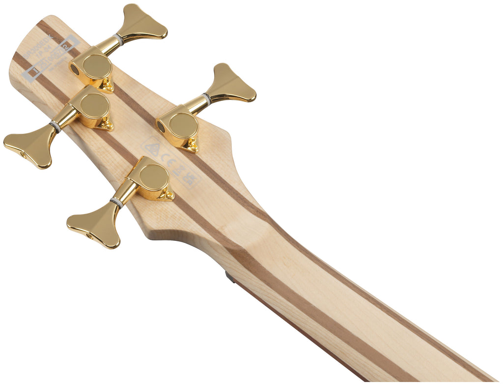 Ibanez SR300EDX - Frozen Black Glacier Matte
