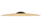 Sabian_21_AAX_FREQ_RIDE_2.jpeg