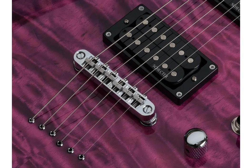 Schecter_445_C_6_PLUS_EM_2.jpeg