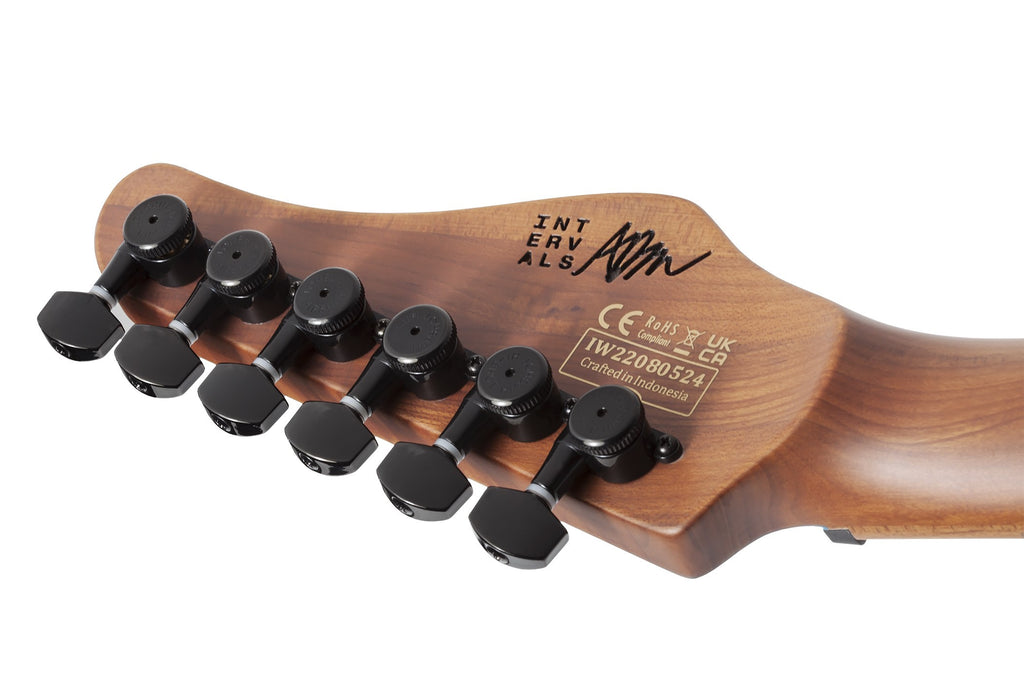 Schecter_Aaron_Marshall_AM_6_Satin_Royal_Sapphire_12.jpeg
