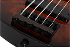 Schecter_C_5_Standard_Tobacco_Burl_3.jpeg