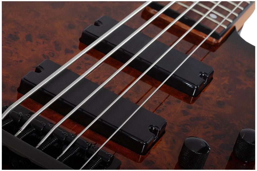 Schecter_C_5_Standard_Tobacco_Burl_6.jpeg
