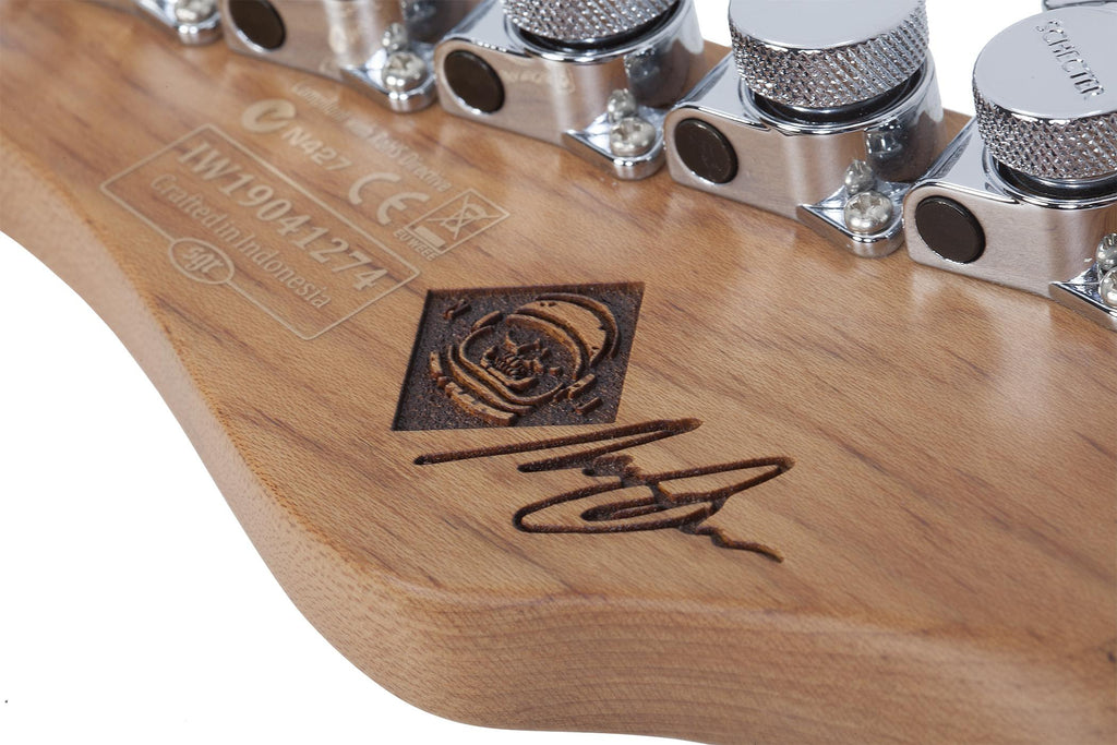 Schecter_NICK_JOHNSTON_TRAD_barva_pink_A_Coral_13.jpeg