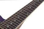 Schecter_PT_Special_Purple_Burst_Pearl_12.jpeg