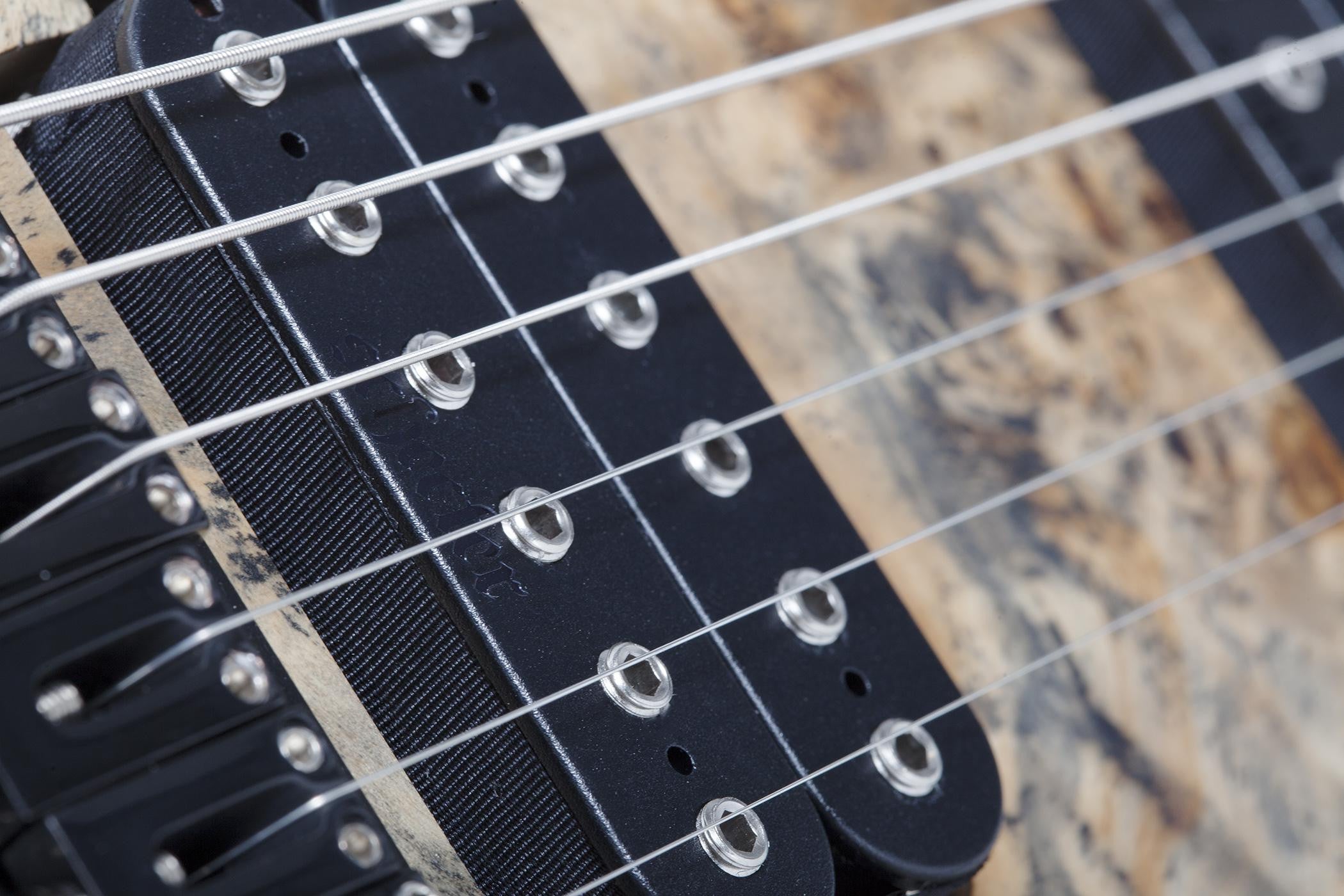 Schecter_REAPER_6_CB_8.jpeg