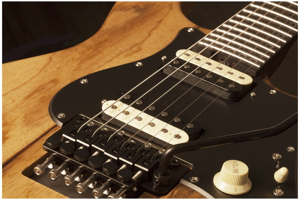 Schecter_Sun_Valley_Super_Shredder_Exotic_FR_Natural_Satin_12.jpeg