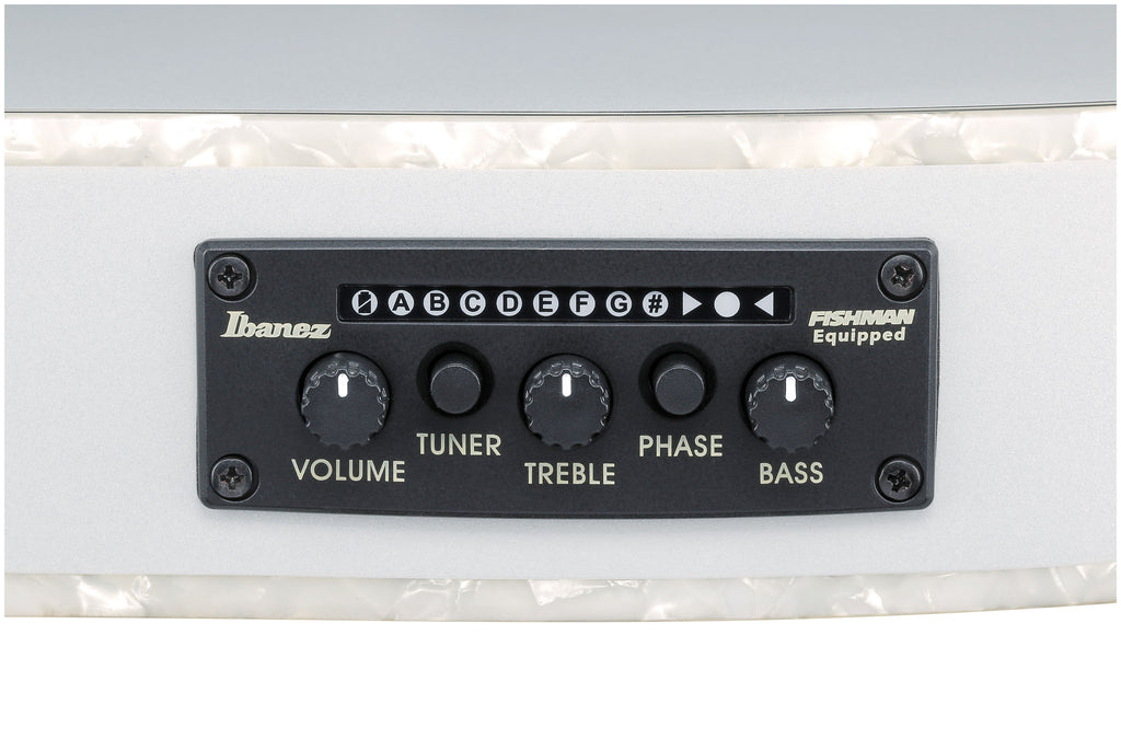 Ibanez TOD10N - Silver Metallic Flat