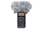 Tascam_WS_11_2.jpeg