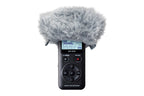 Tascam_WS_11_3.jpeg