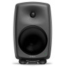 Monitory