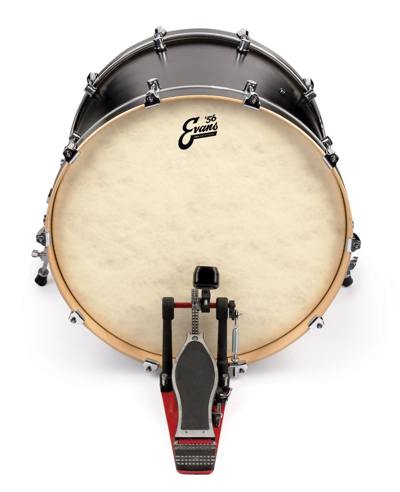 Galerijní obrázek č.1 24" EVANS BD24GB4CT EQ4 ’56 Calftone 24” Bass