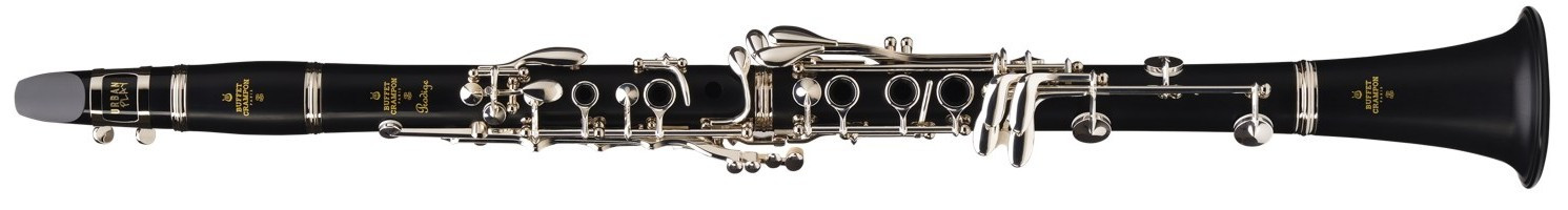 Hlavní obrázek Klarinety a hoboje BUFFET CRAMPON BC2541-2-0GB Prodige