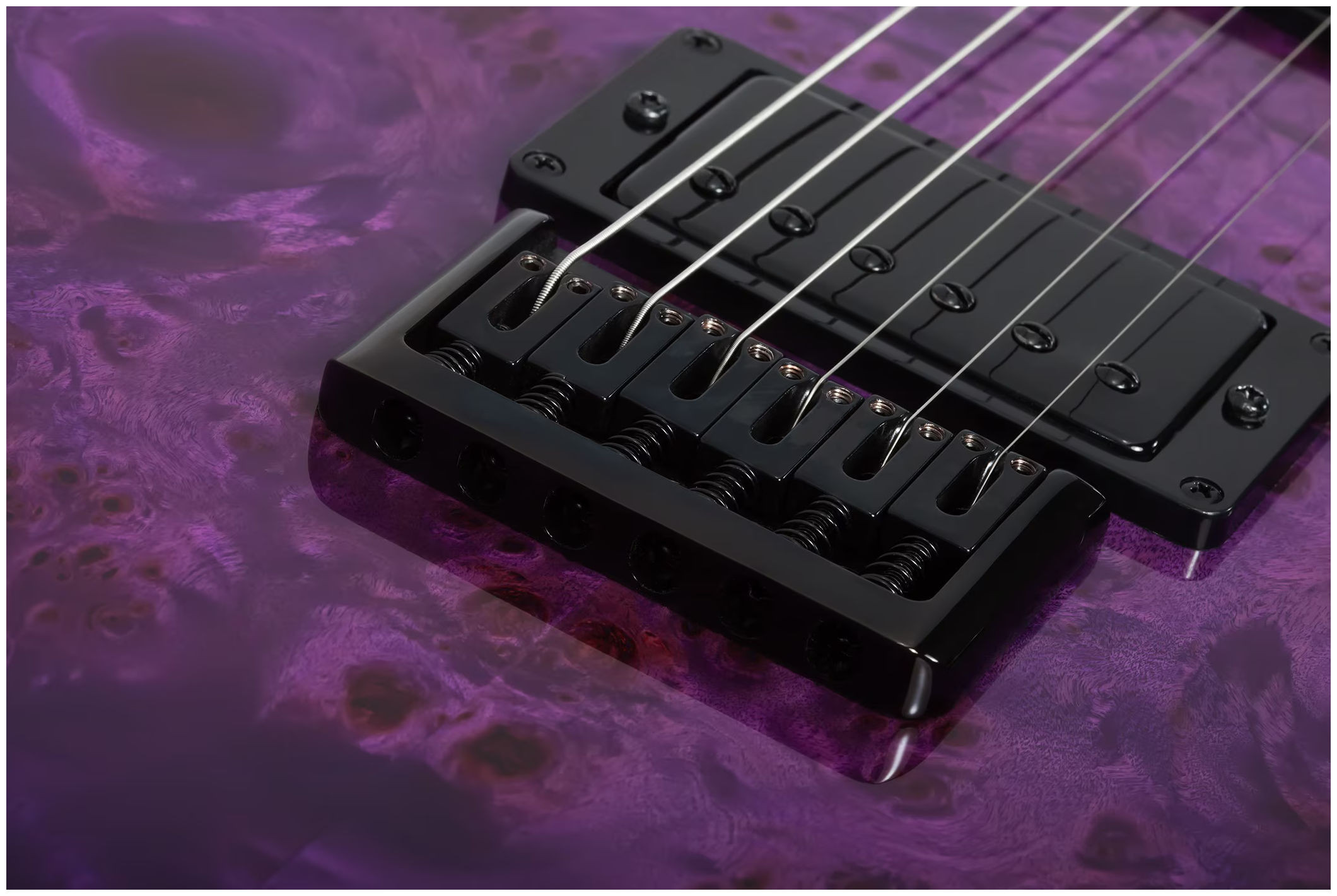 Galerijní obrázek č.3 T - modely SCHECTER PT Standard - Purple Burst Burl