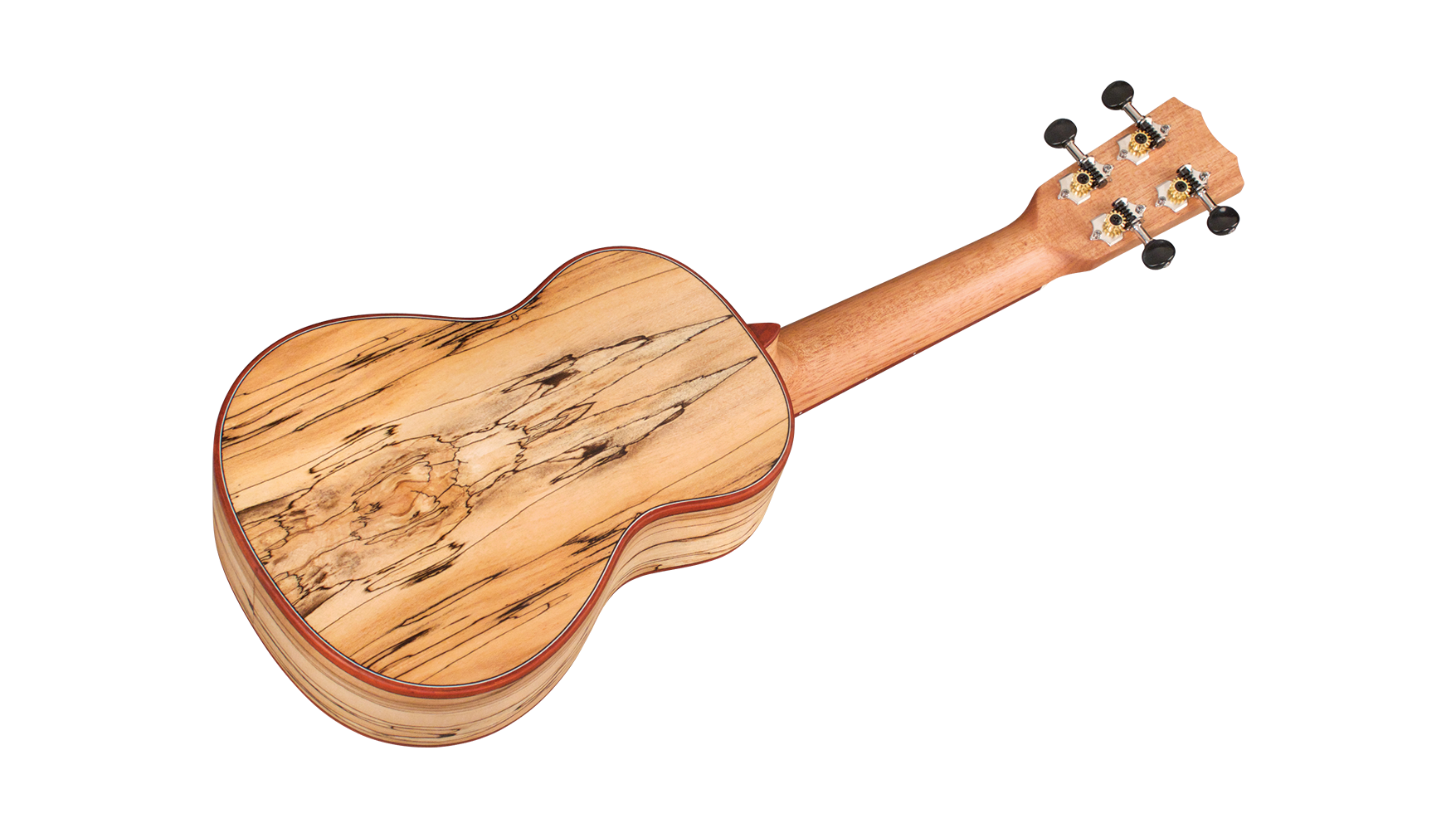 Galerijní obrázek č.3 Sopránové CORDOBA 24S Spruce - Natural