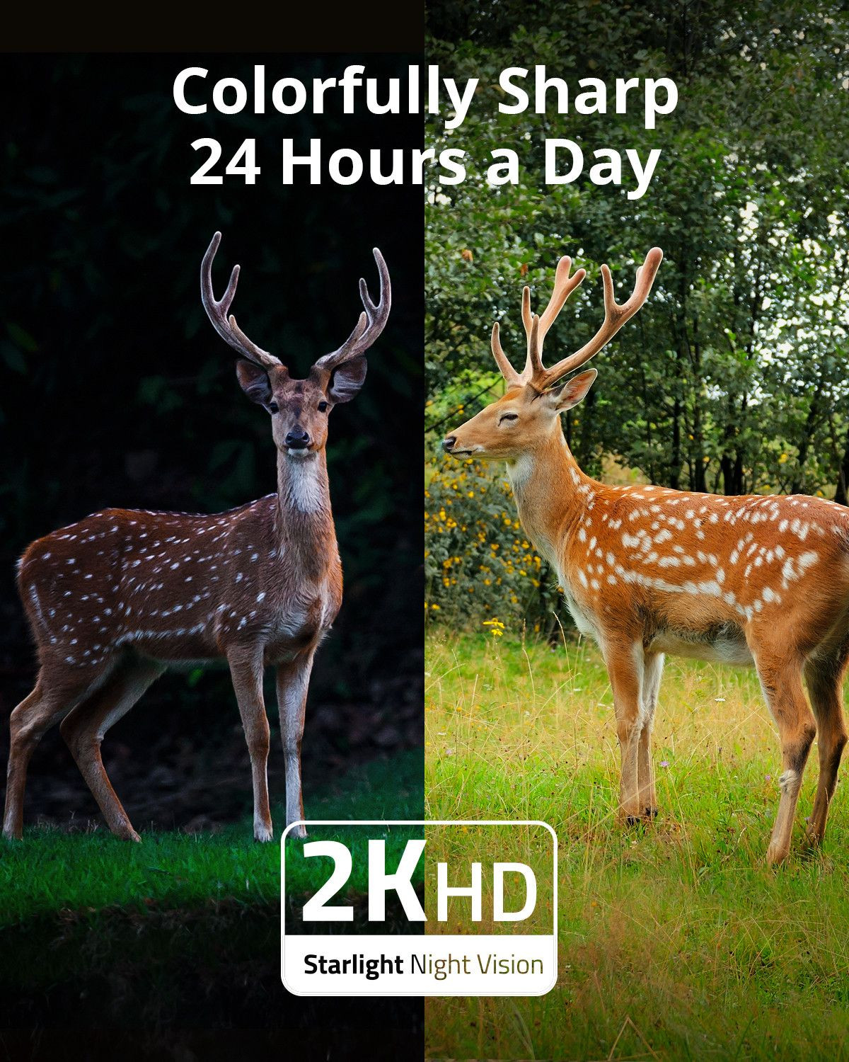 Galerijní obrázek č.5 Zvuk ANKER Eufy 4G Starlight Camera B-Stock