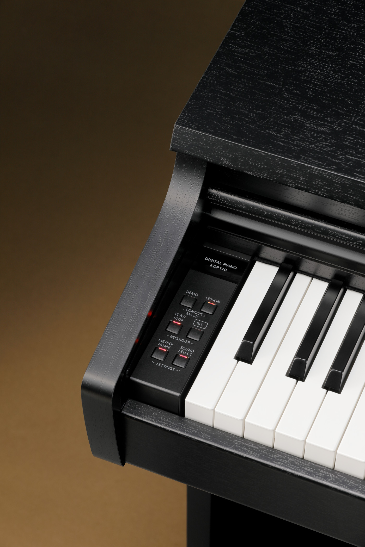 Galerijní obrázek č.7 Klávesy KAWAI KDP120 B - Black