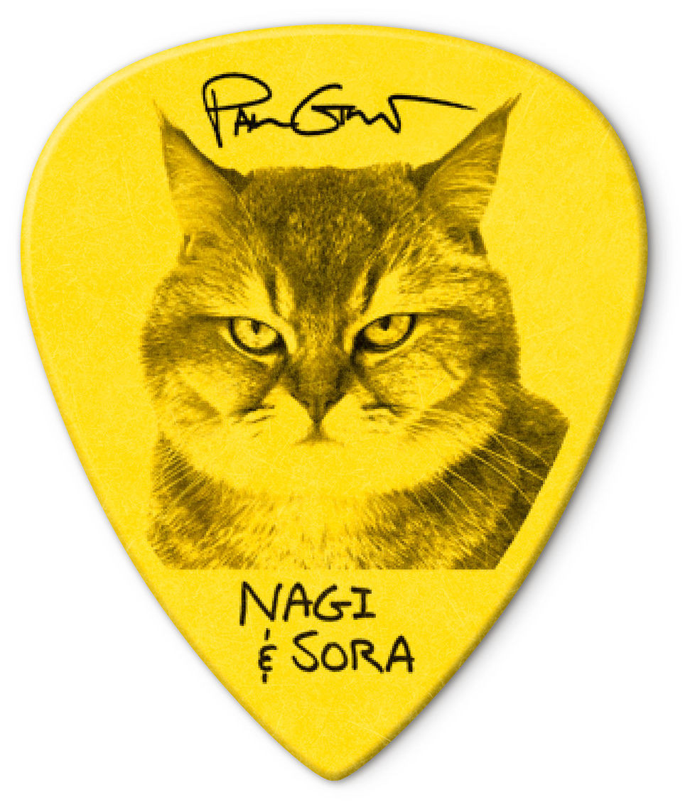 Galerijní obrázek č.9 Tvrdost  0.73 DUNLOP PG462P PAUL GILBERT CUSTOM TORTEX TIII PICK .73MM - 12 ks