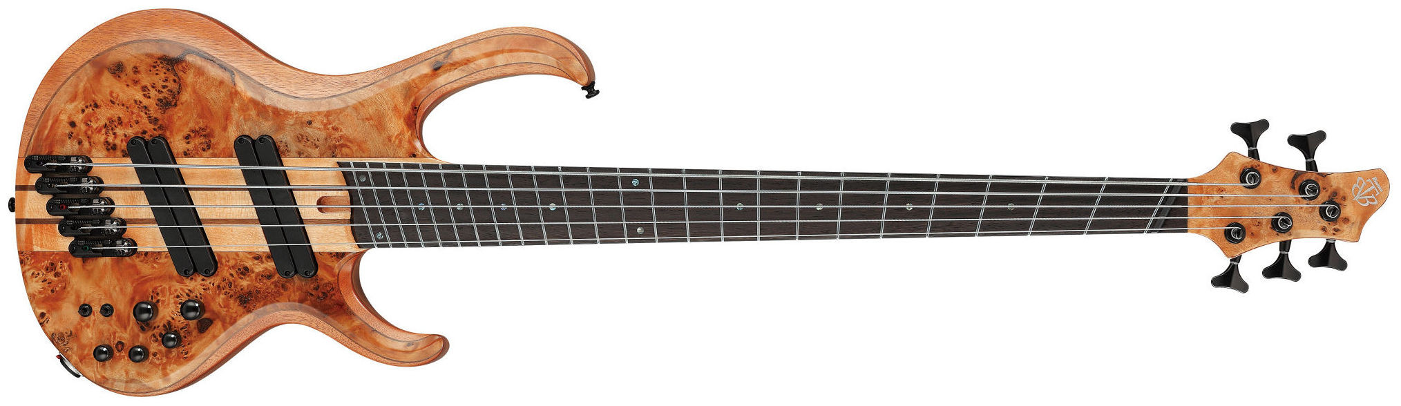 Hlavní obrázek 5strunné IBANEZ BTB805MS-FNL - Florid Natural Low Gloss