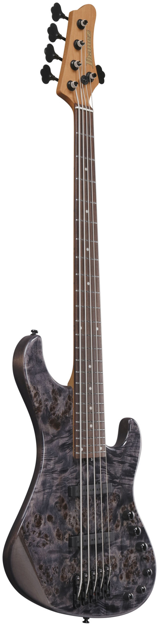 Galerijní obrázek č.2 5strunné IBANEZ MDM1605-DTW - Deep Twilight