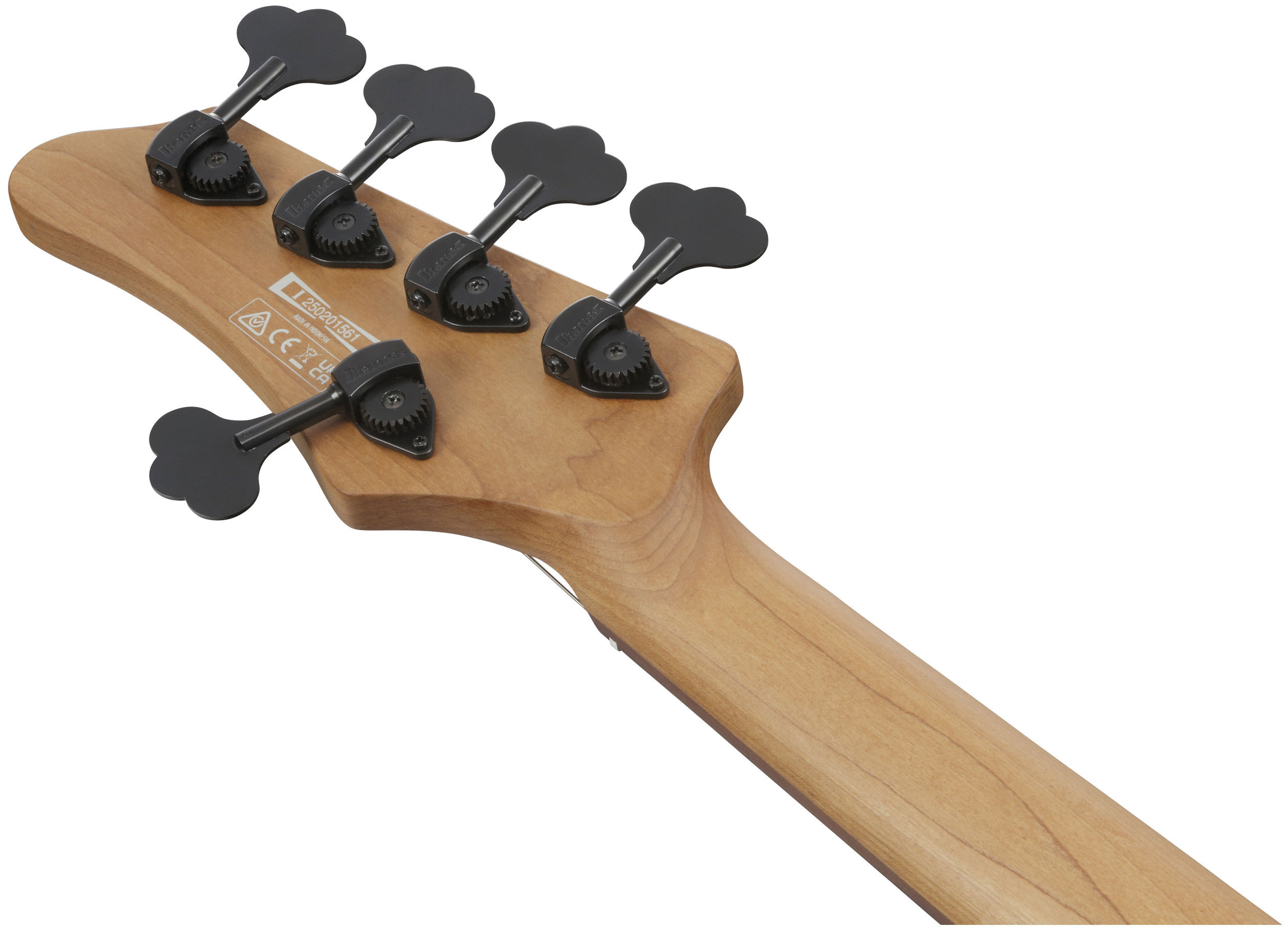 Galerijní obrázek č.9 5strunné IBANEZ MDM1605-DTW - Deep Twilight