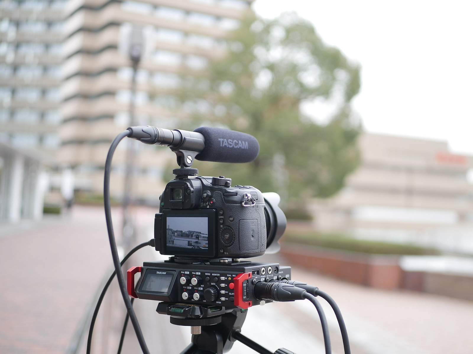 Galerijní obrázek č.2 Mikrofony pro video a foto TASCAM TM-200SG