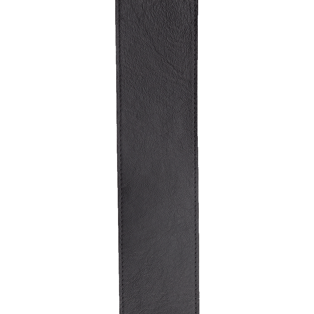 Galerijní obrázek č.1 Kožené/koženkové D'ADDARIO 30BAL00