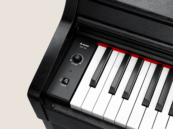 Galerijní obrázek č.1 Digitální piana DONNER DDP-100 - Black
