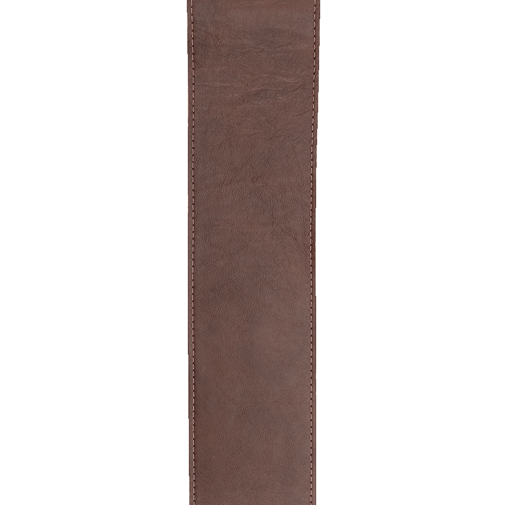 Galerijní obrázek č.1 Kožené/koženkové D'ADDARIO 30BAL02