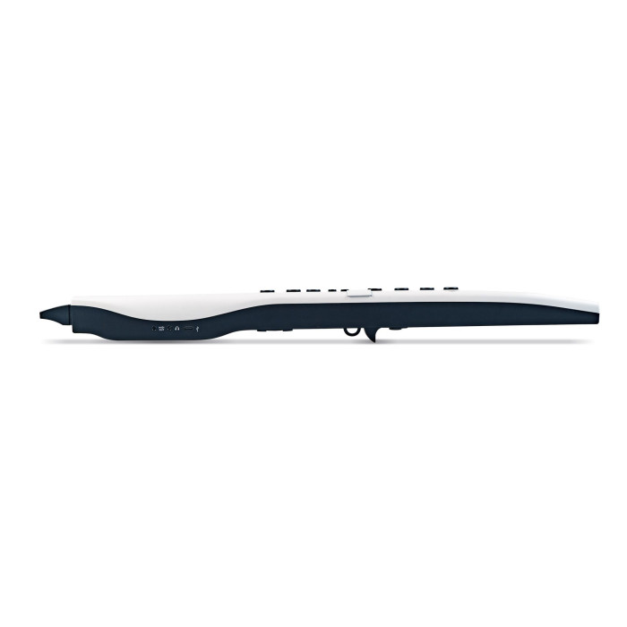 Hlavní obrázek Syntezátory/Samplery/Moduly CARRY-ON Digital Wind Instrument 2 Pro