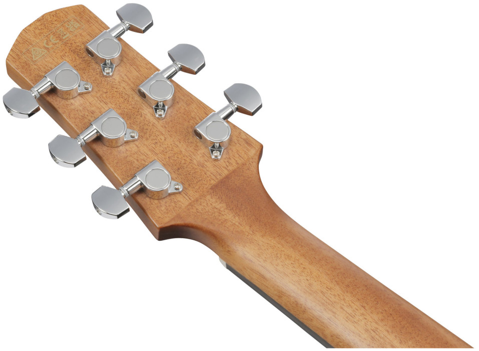 Hlavní obrázek Dreadnought IBANEZ AAD51CE-NT - Natural High Gloss
