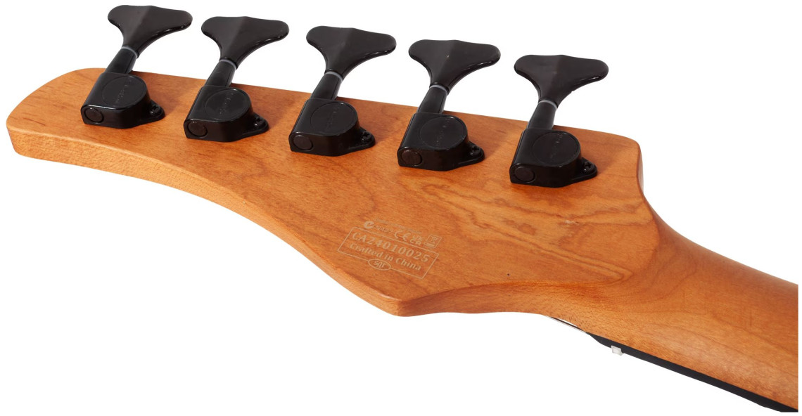 Hlavní obrázek 5strunné SCHECTER C-5 Standard - Tobacco Burl