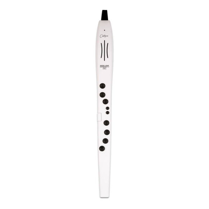 Hlavní obrázek Syntezátory/Samplery/Moduly CARRY-ON Digital Wind Instrument 2 Pro